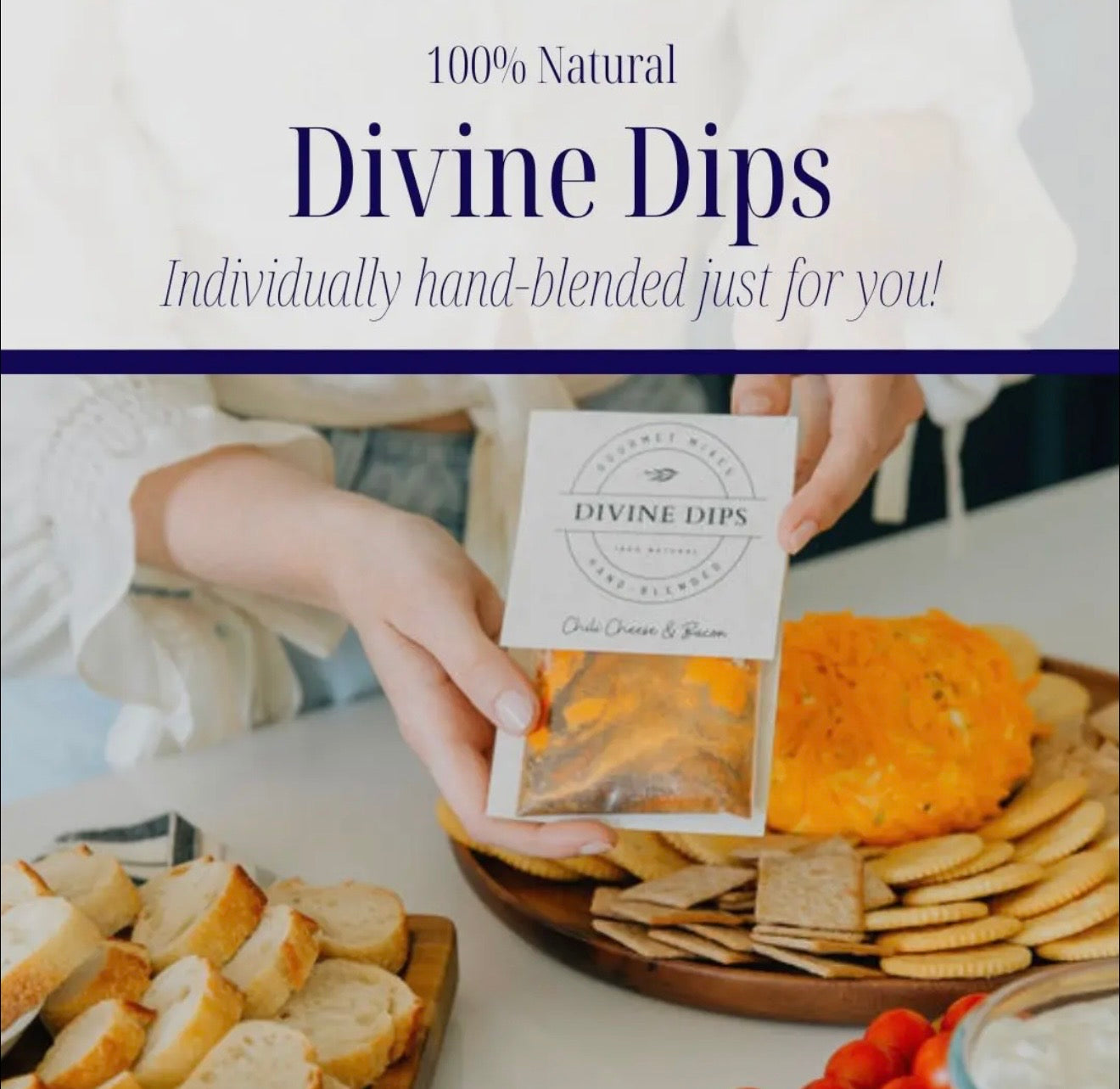 Fiesta Seasoning Dip Mix & Cheese Ball Spices